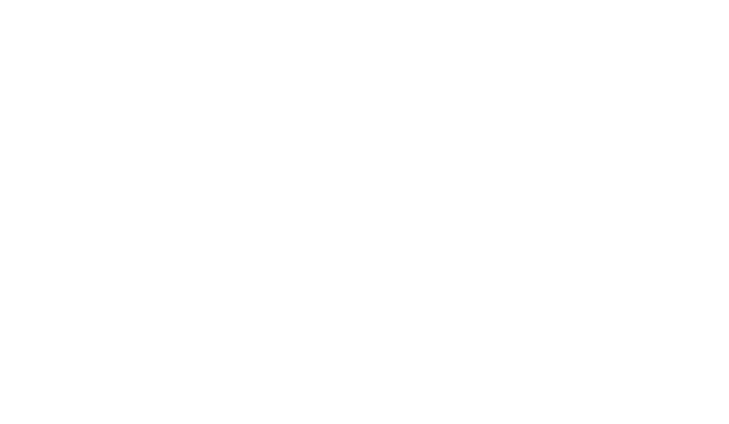 TOC Americas